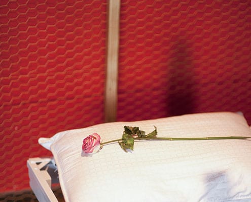 White pillow with pink rose lying across it against chicken wire background and red wall